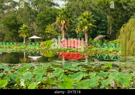 Pont sur le lac principal, jardins d'eau de Lotus Bleu, Yarra Junction, Victoria, Australie Banque D'Images