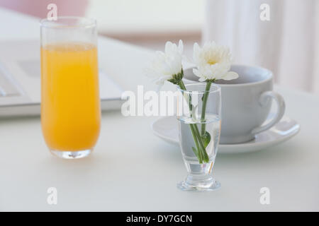 Fleur blanche dans un vase avec café et jus d'orange sur la table Banque D'Images