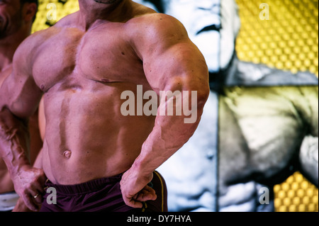 Détail d'un male bodybuilder durant la foire fitness FIBO à Cologne, Allemagne, 2014. Banque D'Images