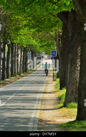 Pistes cyclables, Paris, France Banque D'Images