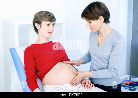 La palpation de l'Abdomen femme enceinte Banque D'Images