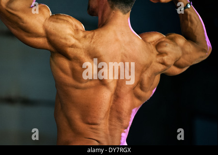 Détail d'un male bodybuilder durant la foire fitness FIBO à Cologne, Allemagne, 2014. Banque D'Images