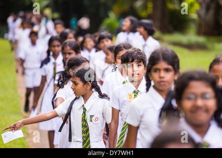 Sortie scolaire aux Jardins botaniques royaux, Peradeniya, Kandy, Sri Lanka Banque D'Images