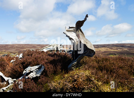 Débris d'une F.A.W Gloster Javelin Mk.5 XA662 qui s'est écrasé à Apedale près de Castle Bolton Wensleydale North Yorkshire UK Banque D'Images