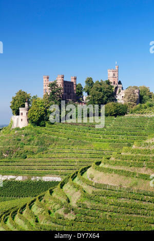 Schloss Ortenberg, à Offenburg, Forêt-Noire, Bade-Wurtemberg, Allemagne Banque D'Images