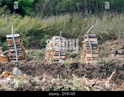 Bois de feu pour la cuisine est soigneusement empilés dans un champ nouvellement défrichées sur une colline. Banque D'Images