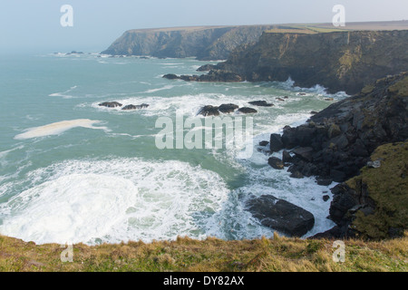 Vue de Navax joints point Mutton Cove près de Godrevy Baie de St Ives Cornwall England UK côte où les joints peut être vu Banque D'Images