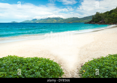 Plage tropicale avec de l'eau turquoise Banque D'Images