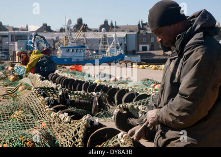 Fraserburgh port, Écosse, Royaume-Uni 8 Avril, 2014. Les immigrants sont devenus un pivot de l'Ecosse de l'agriculture et de la pêche. Les travailleurs migrants d'Europe de l'est chercher un emploi et un nouveau départ, et sont prêts à faire l'emploi de la population locale ne sera pas, dans l'équipage des bateaux et travaillent dans des usines de poisson. Chef de l'exécutif de l'Association de fruits de mer écossais John Cox a dit : "Sans la d'autres ethnies, nous aurions une plus grande capacité de traitement du problème tout le poisson qu'on a atterri. Le problème dans le nord-est est l'huile et de l'énergie attire tous les main-d'œuvre locale. Crédit : Studio9/Alamy Live News Banque D'Images