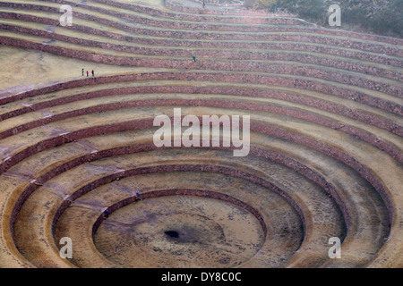 L'Amérique du Sud, au Pérou. Portrait de la circulaire, les terrasses agricoles, Inca de Moray. Banque D'Images