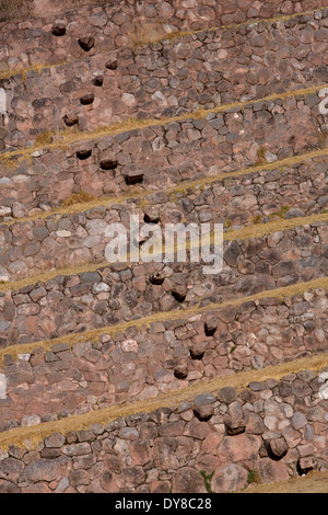 L'Amérique du Sud, au Pérou. La circulaire, terrasses agricoles, Inca de Moray. Banque D'Images