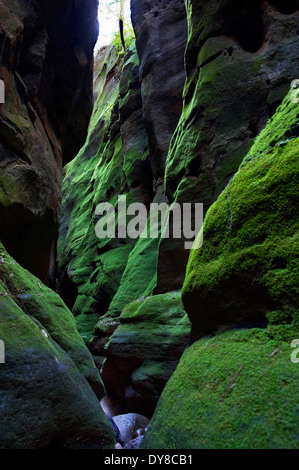 L'Australie, Carnarvon, parc national, falaise, rock, Gorge, Queensland, gulch Banque D'Images