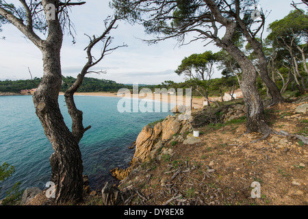 Es Castell (Palamós) naturel préservé, l'un des rares intact à Costa Brava, Espagne Banque D'Images