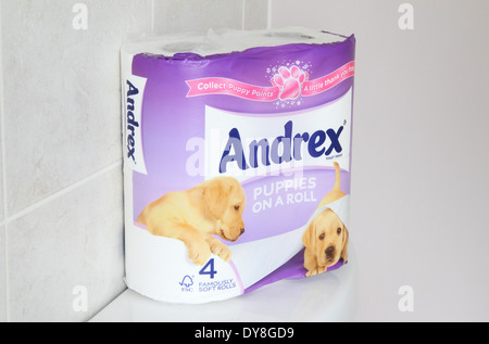 Pack de papier toilette d'Andrex dans un établissement de bains, UK Banque D'Images