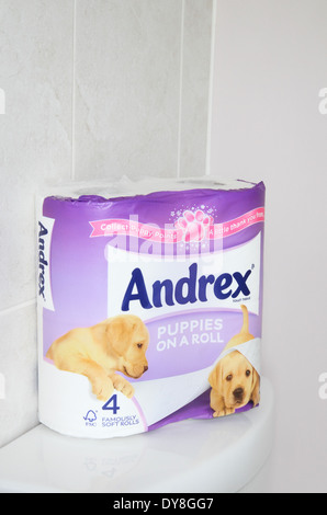 Pack de papier toilette d'Andrex dans un établissement de bains, UK Banque D'Images