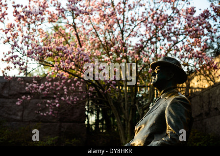 WASHINGTON DC, États-Unis — Une statue du président Franklin Delano Roosevelt au FDR Memorial, sur les rives du bassin de Tidal à Washingotn DC, capture la lumière du soleil très tôt le matin, avec une tulipe Magnolia en arrière-plan. Le Franklin Delano Roosevelt Memorial est un monument tentaculaire de plus de 7,5 hectares dans le West Potomac Park de la capitale. Le mémorial, consacré en 1997, rend hommage au Président des États-Unis de 32nd, FDR, et à son influence durable sur l'histoire américaine. Banque D'Images