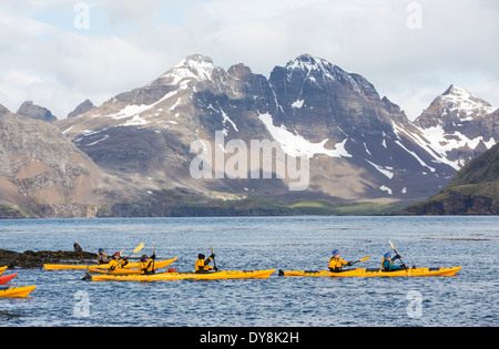 Les touristes en kayak de mer sur l'île de prion, la Géorgie du Sud, partie d'une croisière antarctique. Banque D'Images