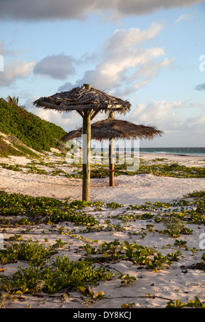 Palapas sur la plage de l'Île Harbour Banque D'Images