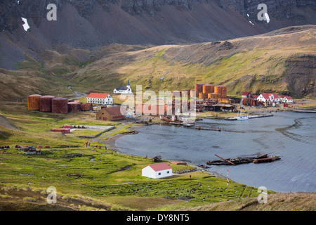 L'ancienne station baleinière à Grytviken en Géorgie du Sud. Dans ses 58 années de fonctionnement, il a traité 53 761 baleines abattues Banque D'Images