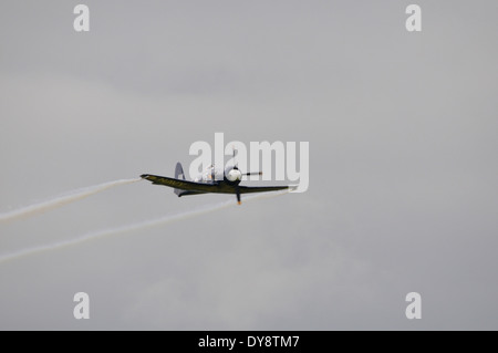 1949 Hawker Sea Fury FB.11 à l'air show de La Ferté Alais Banque D'Images