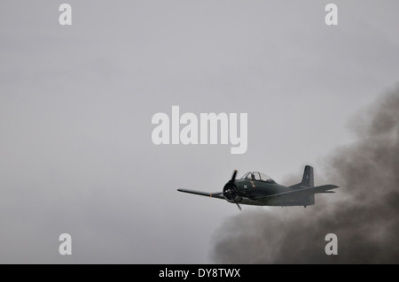 Douglas AD-4N Skyraider au spectacle aérien de la Ferté Alais Banque D'Images