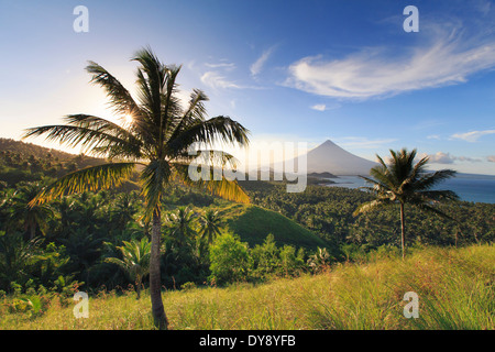 Aux Philippines, dans le sud-est de Luzon, Bicol, volcan Mayon Banque D'Images