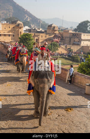 Les touristes, ride, fort, l'Ambre, l'éléphant, l'Asie, l'Inde, l'éléphant, le Rajasthan, Jaipur, Amber, Banque D'Images