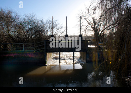 Les inondations le long de la rivière Mole au cours de l'hiver 2014, Cobham, Surrey, UK. Banque D'Images