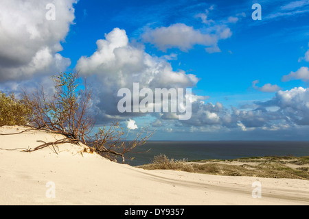 Vue sur la baie de Courlande dans Nida de dune de sable. La lituanie Banque D'Images