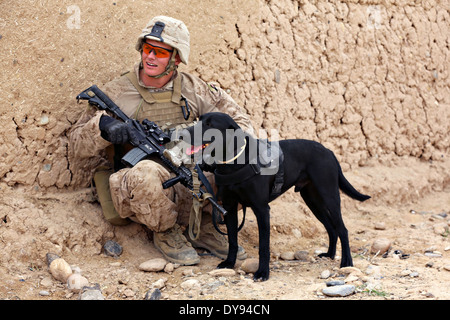 US Marine Lance Cpl. Andrew Day, un dispositif explosif de detection de chien attend dans l'ombre avec son chien lors d'une patrouille le 27 mars 2014 dans la province d'Helmand, en Afghanistan. Banque D'Images