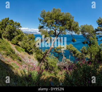 Sentier Chemin du Joncquet paysage méditerranéen eau arbres spring mountains sea La Seyne sur Mer Var France Europe, Banque D'Images