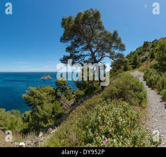 Sentier Chemin du Joncquet paysage méditerranéen eau arbres spring mountains sea La Seyne sur Mer Var France Europe, Banque D'Images