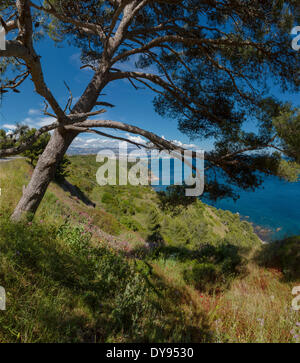 Sentier Chemin du Joncquet paysage méditerranéen eau arbres spring mountains sea La Seyne sur Mer Var France Europe, Banque D'Images