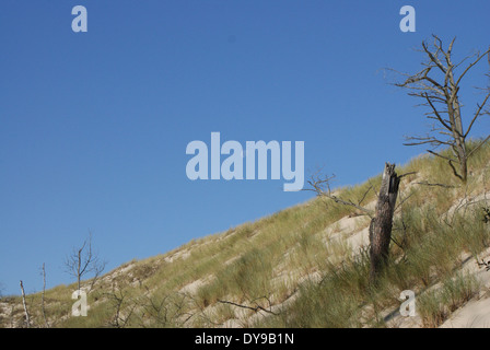 Les célèbres dunes ameuhsante dans le Parc National de Slowinski Près de Leba, Pologne, l'Europe occidentale, Banque D'Images