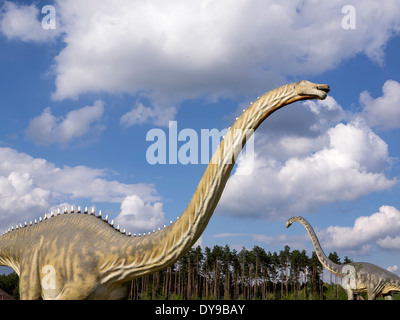 Wild Animal Park Germendorf, Brandebourg, Allemagne Banque D'Images