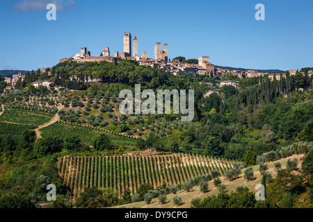 La campagne autour de San Gimignano, Toscane, Italie Banque D'Images