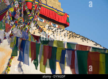 Les pigeons et les drapeaux de prières ornent le grand stupa de Boudhanath, Katmandou, Népal. Banque D'Images