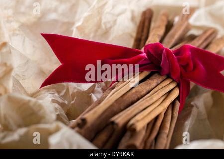Les bâtons de cannelle attaché avec un ruban rouge en papier enroulé, épices de Noël pour fond de cuisson Banque D'Images
