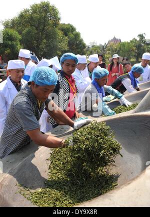 Le Xishuangbanna, la province chinoise du Yunnan. 10 avr, 2014. Les participants prennent part à un thé à la concurrence pendant la 6ème thé Menghai Menghai comté King Carnaval dans la préfecture autonome Dai de Xishuangbanna, au sud-ouest de la province chinoise du Yunnan, le 10 avril 2014. © Lin Yiguang/Xinhua/Alamy Live News Banque D'Images