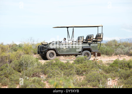 La commande de jeu véhicule et le chauffeur. Bufflesdrift Game Park Oudsthoorn Afrique du Sud Banque D'Images