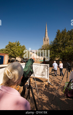 Royaume-uni, Angleterre, Norwich, Norfolk, visiteur à des faucons pèlerins de la cathédrale de spire Banque D'Images