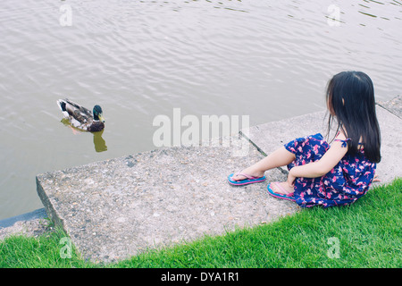 Petite fille au bord de l'eau regardant duck Banque D'Images