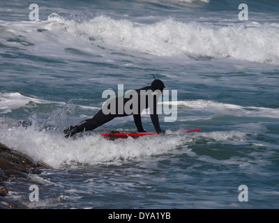 Surfer se déversant dans la mer de rochers, Bude, Cornwall, UK Banque D'Images