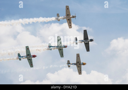 Alexandre Saltanov Aerostars Yak 50 à l'équipe de Flying Legends Airshow, Imperial War Museum Duxford Banque D'Images