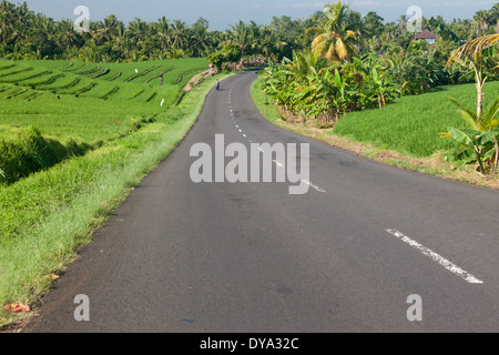 Route asphaltée entre Belimbing et Antosari, Régence Tabanan, Bali, Indonésie Banque D'Images
