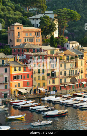 Italie, province de Gênes, Riviera, Portofino, Méditerranée, port, location de bateaux, port d'accueil Banque D'Images