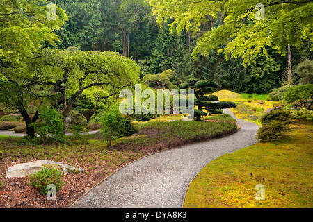 Jardin japonais jardin de printemps Bloedel Reserve Bainbridge Island WA Washington USA Amérique États-unis voie de chemin à pied wa Banque D'Images