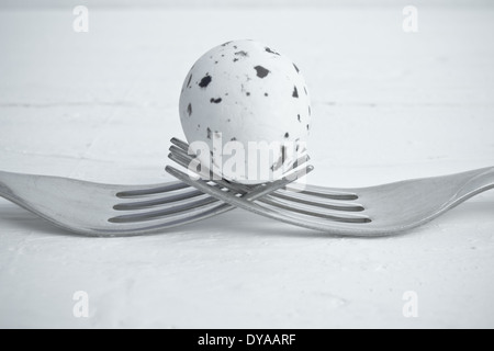 Un oeuf de caille placé entre deux fourches. Les deux fourches holding up l'oeuf de caille. Banque D'Images