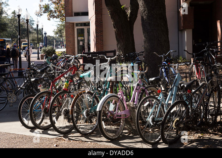 Support à vélos aux étudiants, l'Université de Floride, Gainesville, FL, USA Banque D'Images