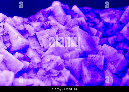 Fluorine Weardale sous fluorescence UV à ondes longues Banque D'Images